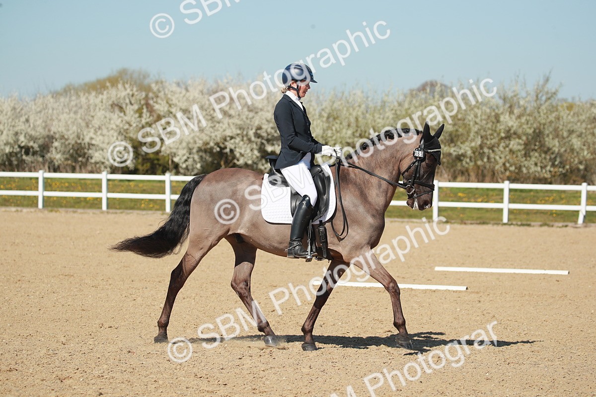 SJ3_1584 - Class 2-5-4-6-7 - Paso Doble-Golega-Sevilla-Lisboa-Novato