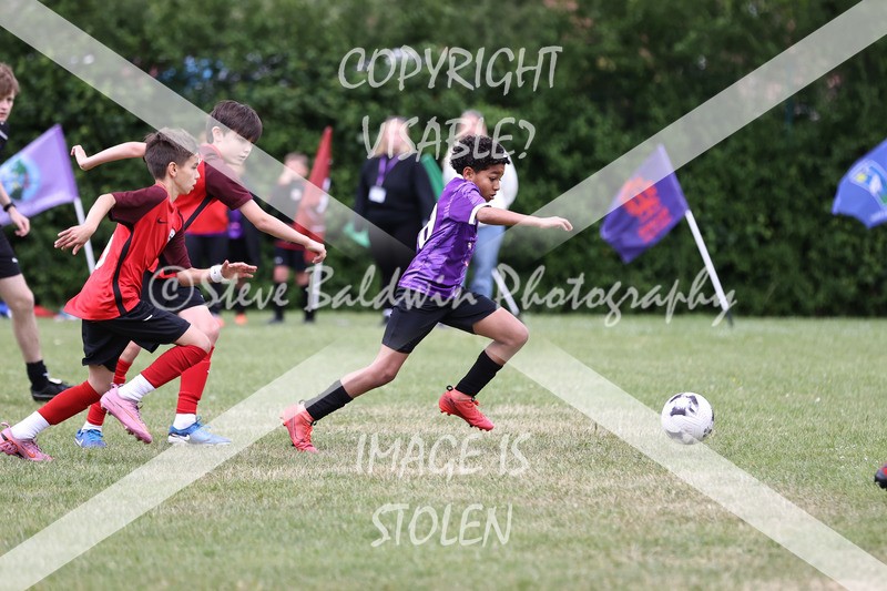 1DX31160 - Brook Field V Goddard Park