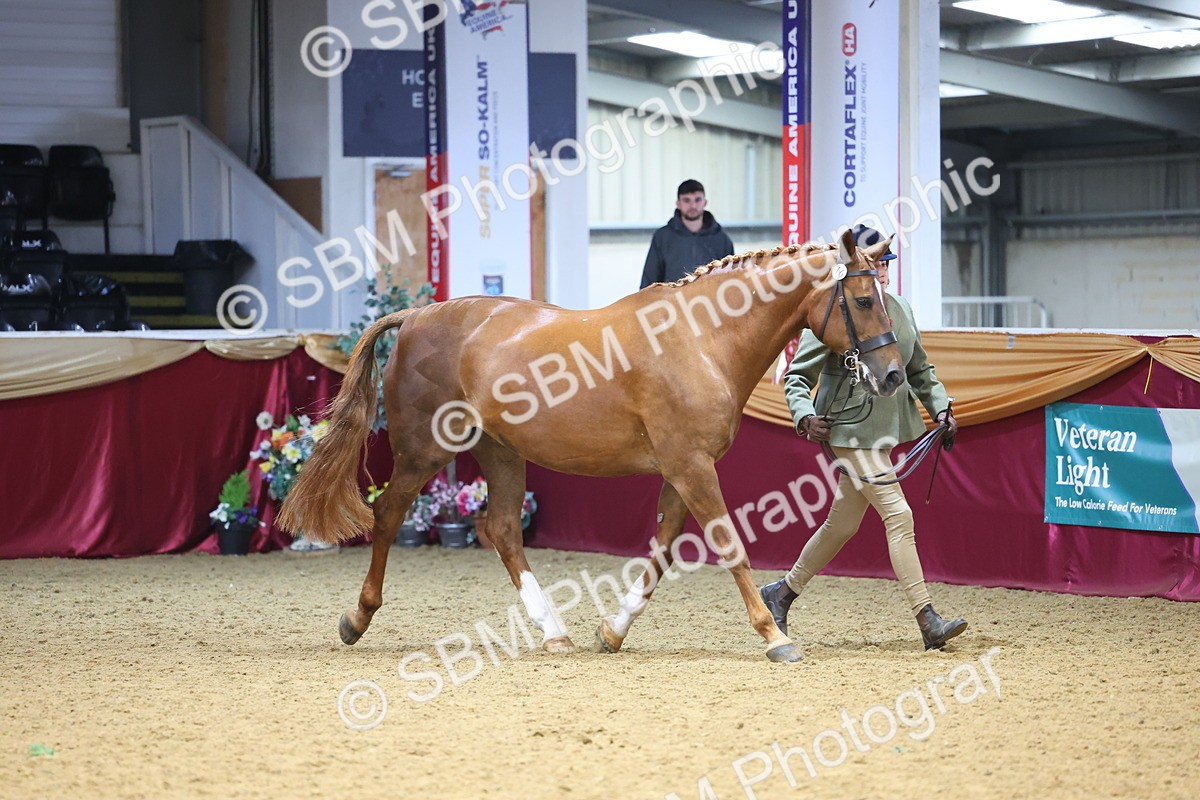 SBM_22666 - Class 903 - Supreme Final - IH Pre Vet