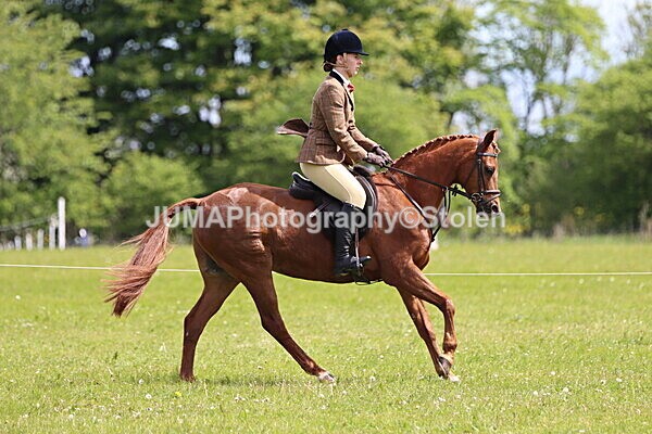 IMG_3330 - Working Hunter