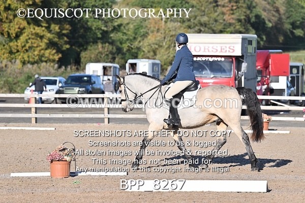 BPP_8267 - SHORT ARENA INTRO 1