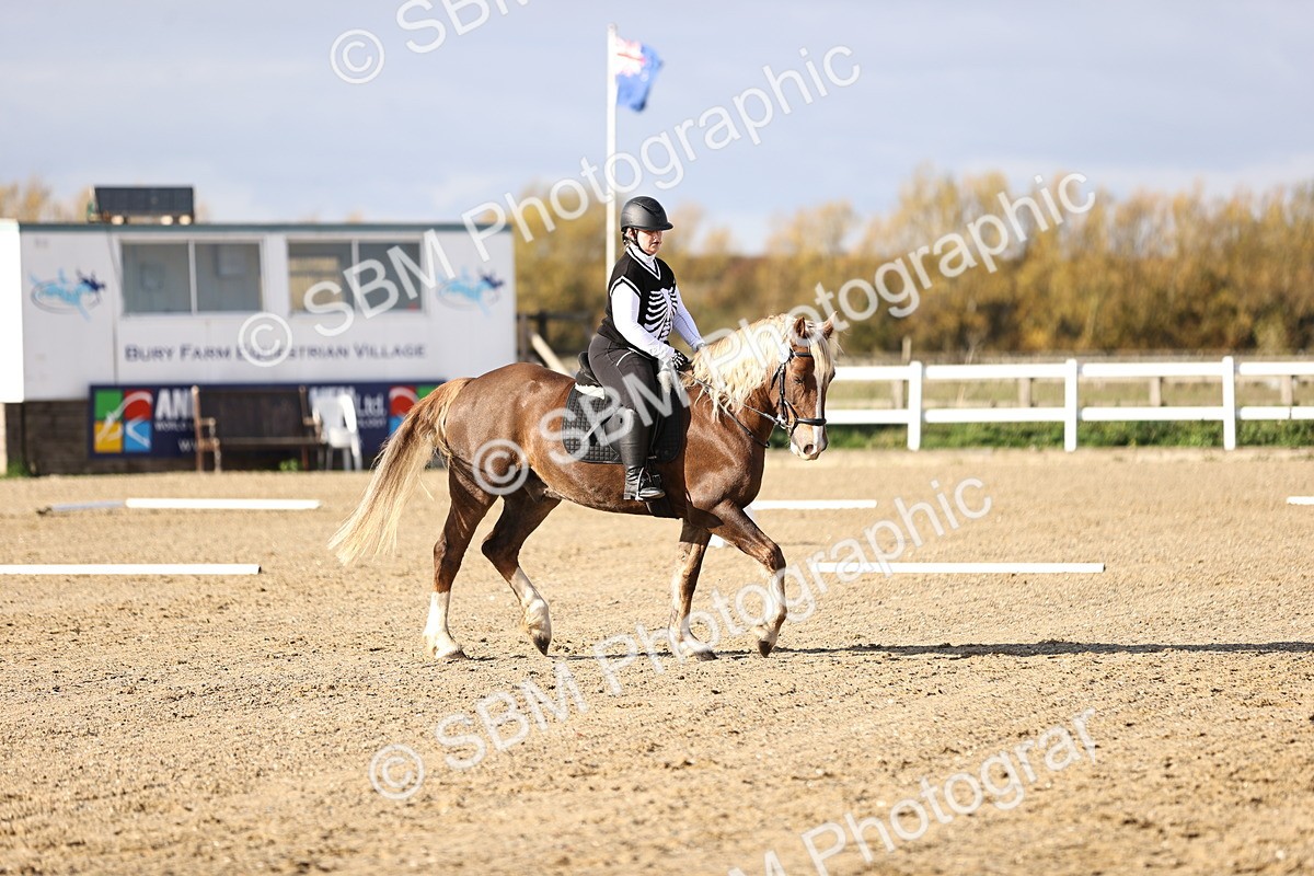 SBM_001312 - Class 2-4 - Intro 1 Intro 3