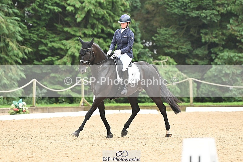 240811-120319-05331 - 118-Katie.Kneen-Springtime.Evergreen