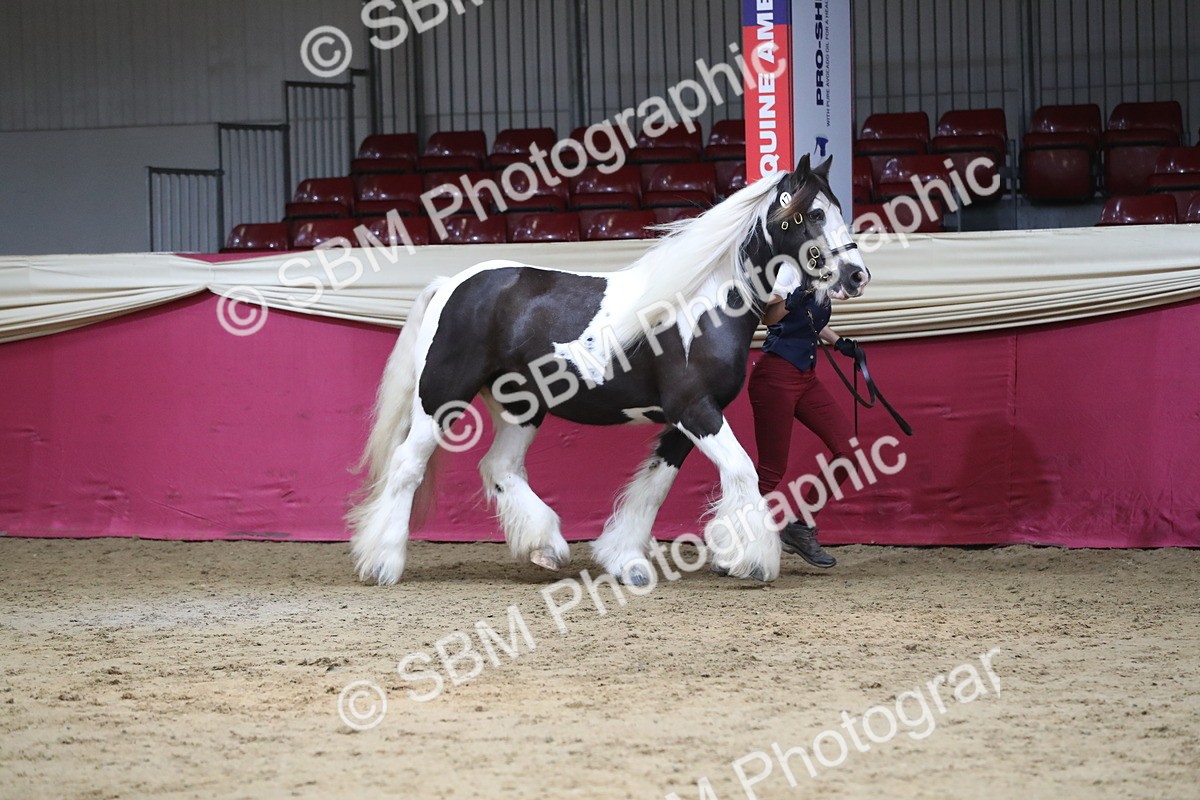 SBM_06235 - Class 9R Regional- IH Pre Vet