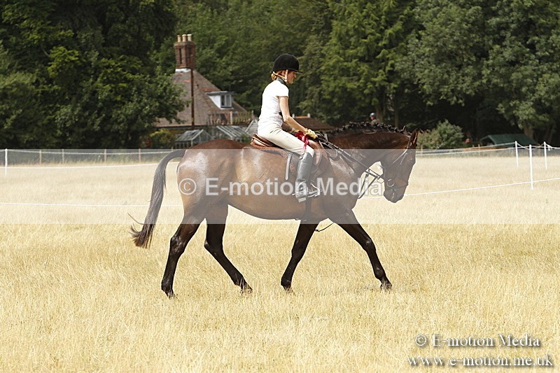 _BS_0992 - Working Hunter Championship BVRC Show 2018