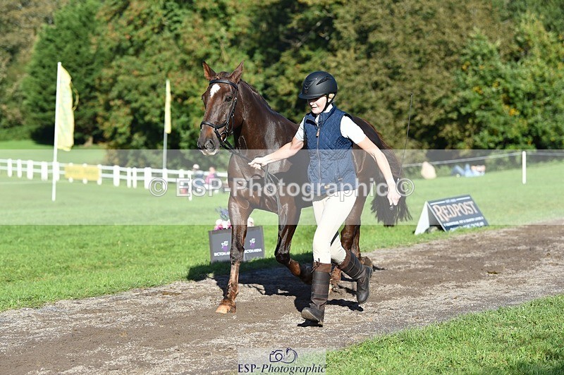 231022-110118-23667 - 461-WOODLANDS.JESTER-Karen.Cowling-TrotUp+SJ