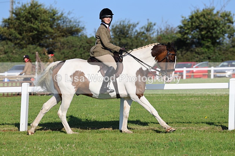 IMG_1210 - Class 27: Ridden Plaited Coloured Horse