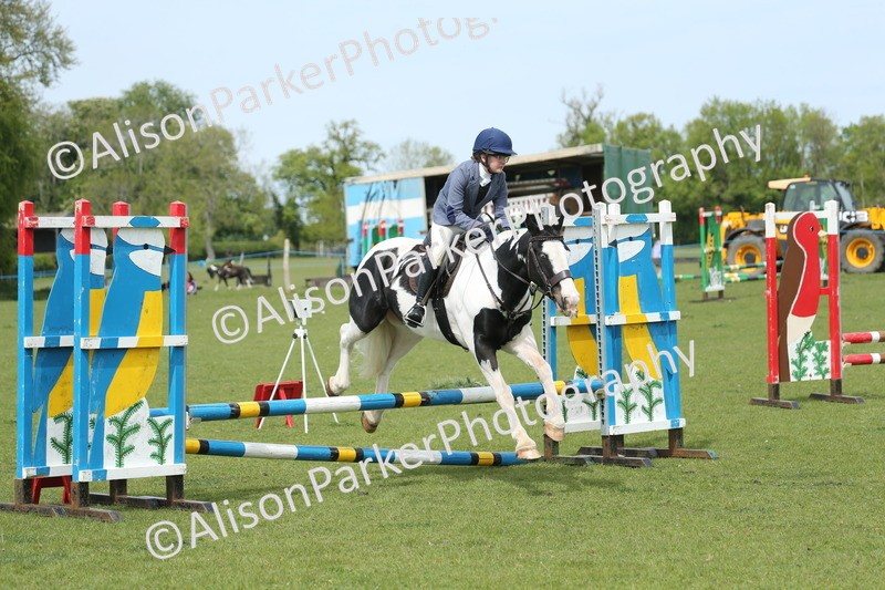 20260426-2046 - Class 15 - Absolute Novice 70cm
