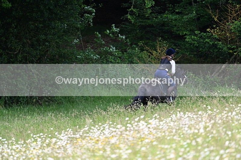 WJ7_8576 - Group 1 10am