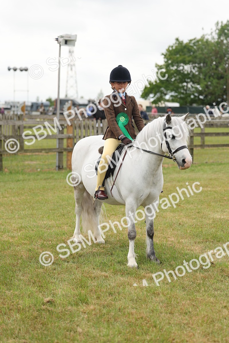 SBM_06910 - Class 74-75 - M&M Lead Rein and First Ridden Pony