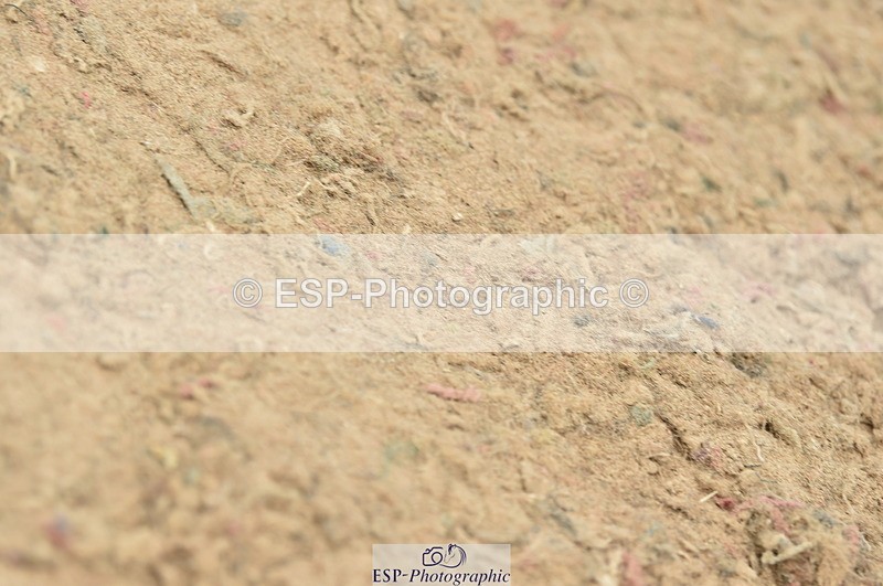 230611A-142056-06281 - Cls 36 Newcomers