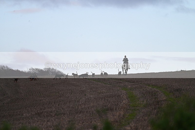 WJ7_9795 - Camera 1 & Last fence