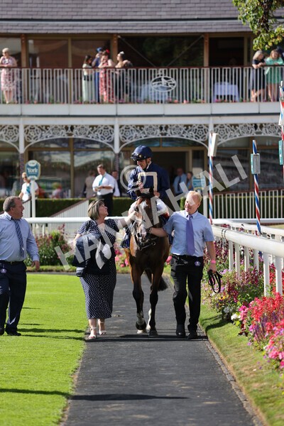 yr09072022r7-31 - Race 7 5.15pm John Smith's Sprint Stakes