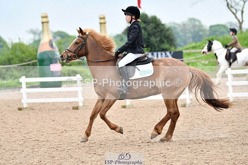 240518A-121857-00981 - Cls 3, 50cm