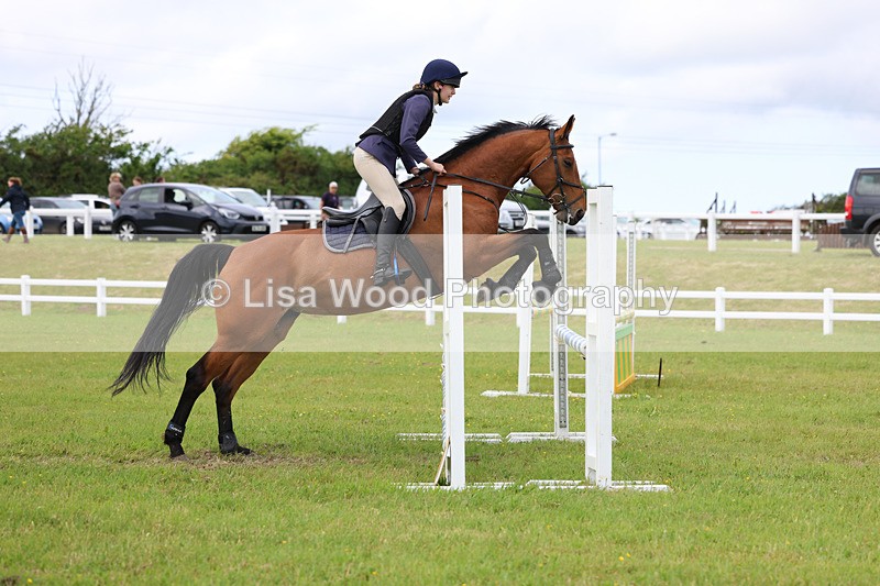 3E7A7796 - Class 13: Senior British Novice/90cm open