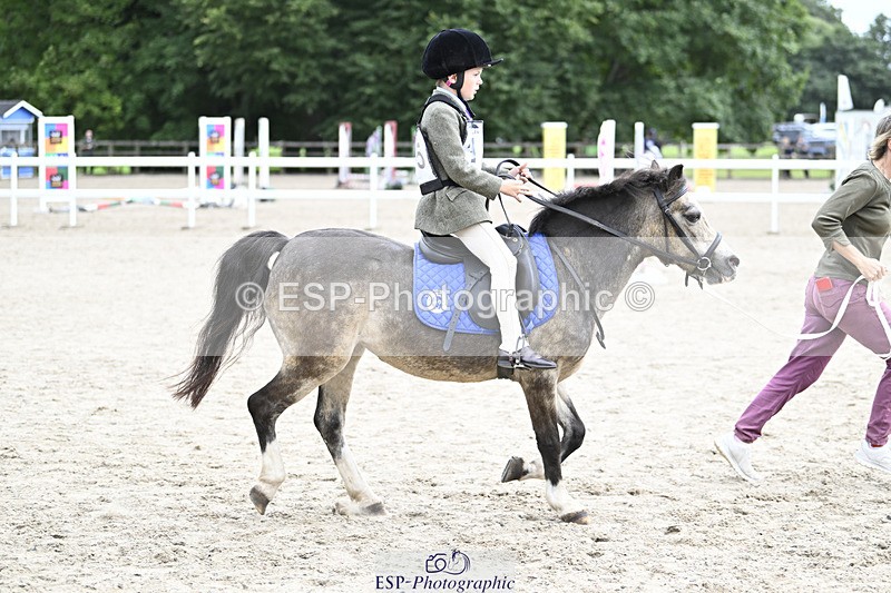 240822X-130842-07890 - 40cm LR R2 13.00 to 15.00