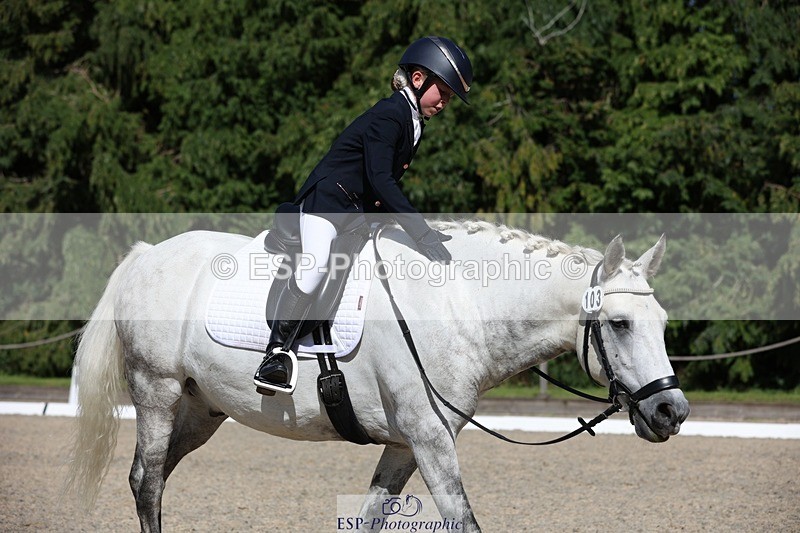 230811-155910-02572 - Cls 1 Prelim Bronze 15.00 to End