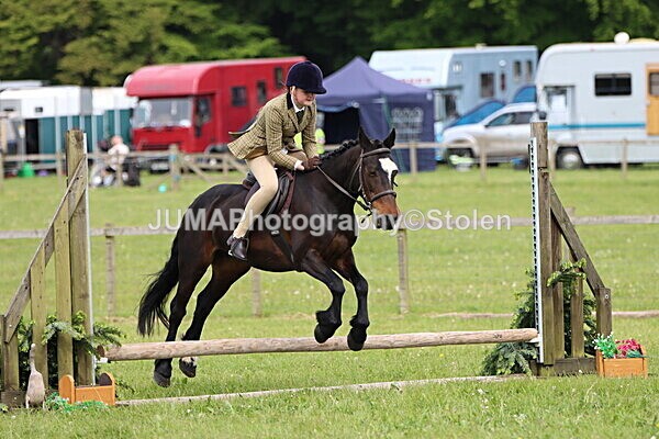 IMG_2476 - Working Hunter