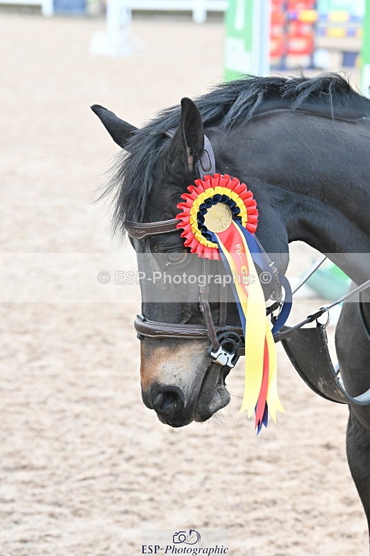 231119A-104246-05017 - Sun Cls 3 BlueChip Pony Discovery Qualifier