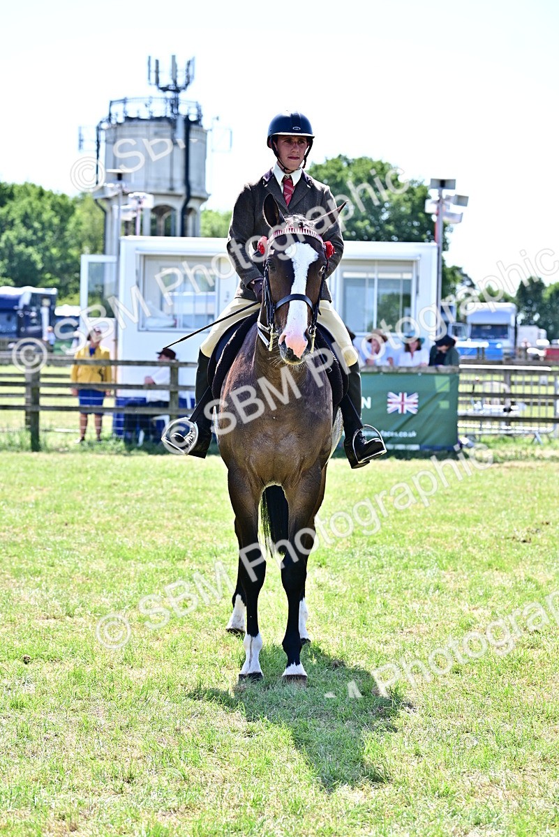 SBM_18190 - Class 99-100 - Retraining of Racehorses Ridden