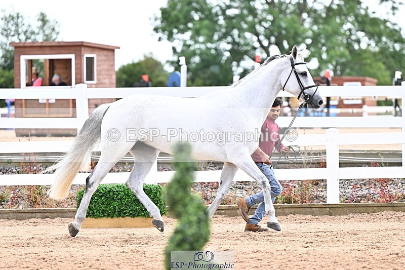 240718A-105327-02032 - Trot Up 2pm to 3pm - This folder is not in time order