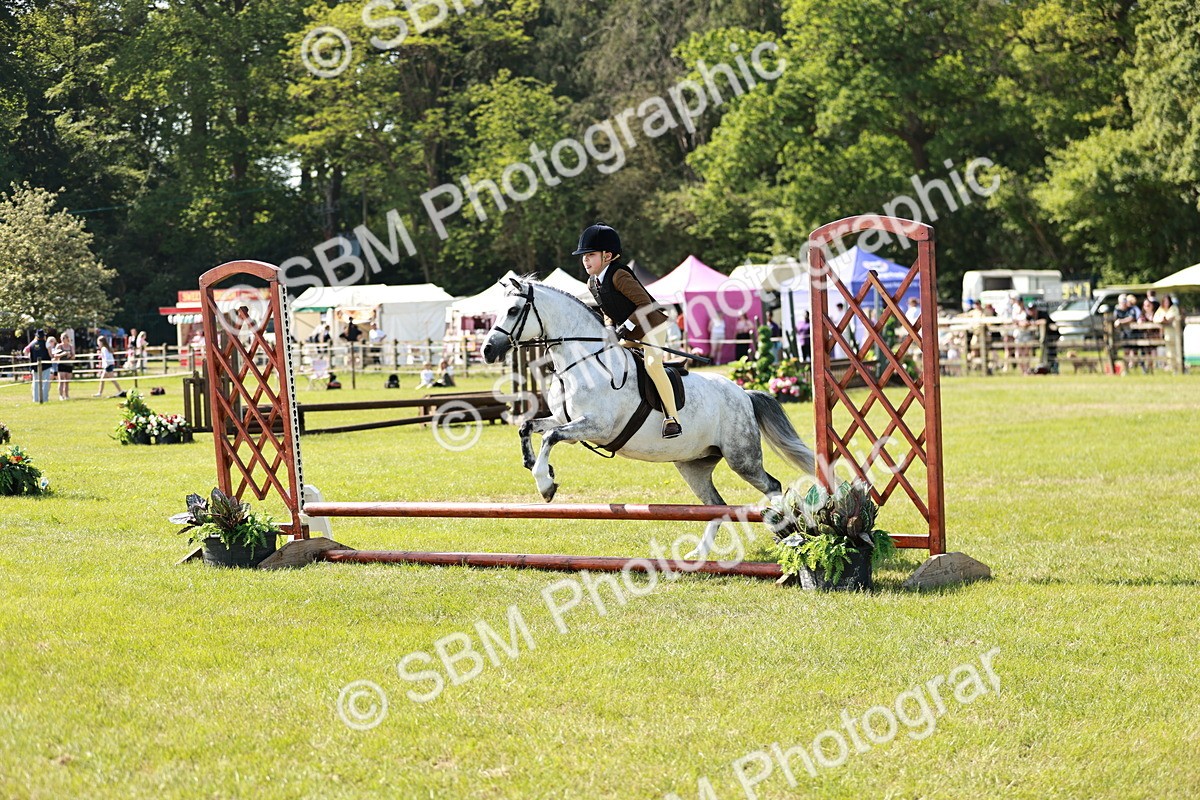 SBM_12718 - Class 106-107 - BSPS LIHS Working Sports Pony