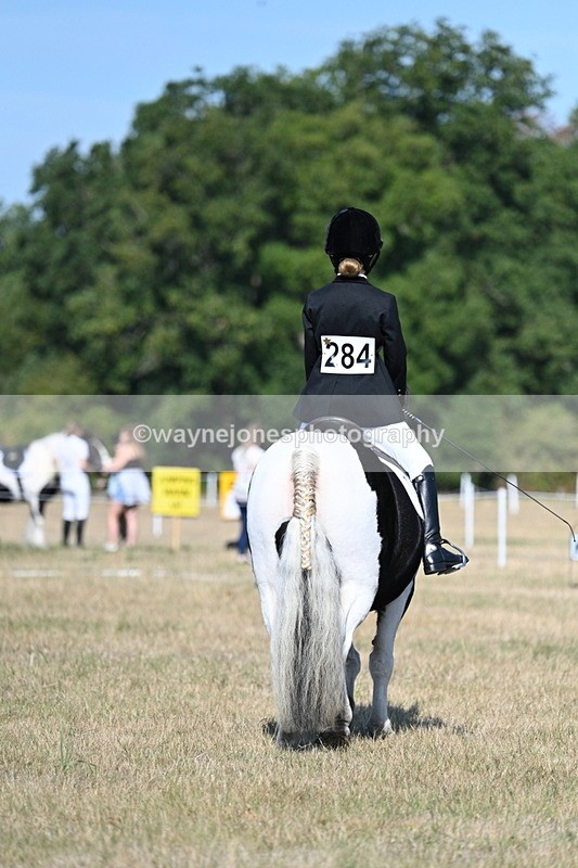 WJ7_9425 - Time 10:08 to 10:13