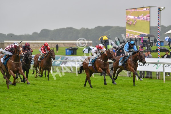 140723-Race 6-Copper Knight-8355 - Race 6 4.55pm Irish Thoroughbred Marketing Handicap
