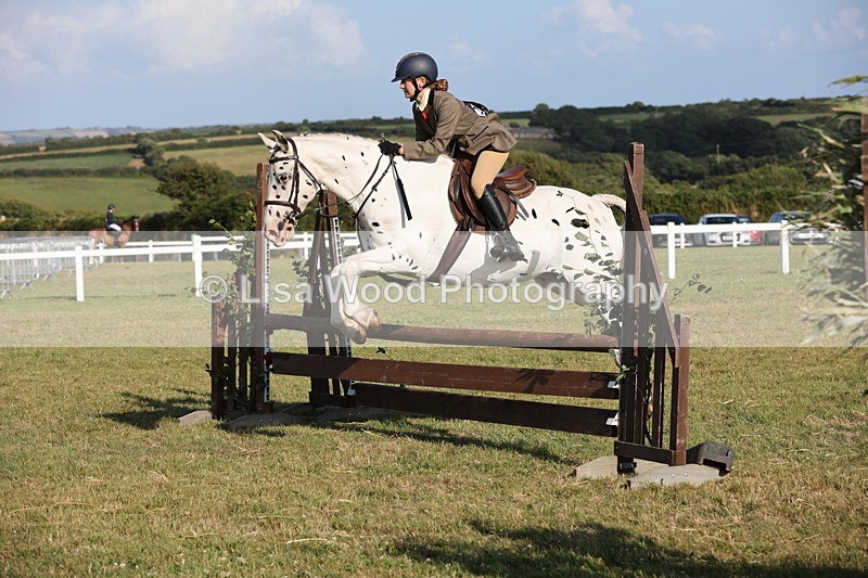 JPP_3176 - Class 21: Working Hunter 80cm