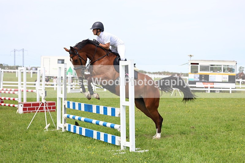 3E7A1507 - Class 13: Senior British Novice/90cm open