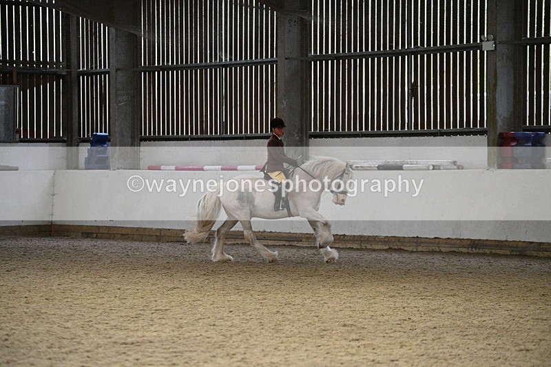 WJ7_3750 - Class 16 Ridden Coloured/ Odd Coloured