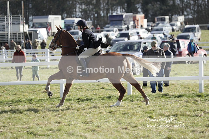 PtP 260223 798 - South & West Wilts Point-to-Point Larkhill 26/02/23