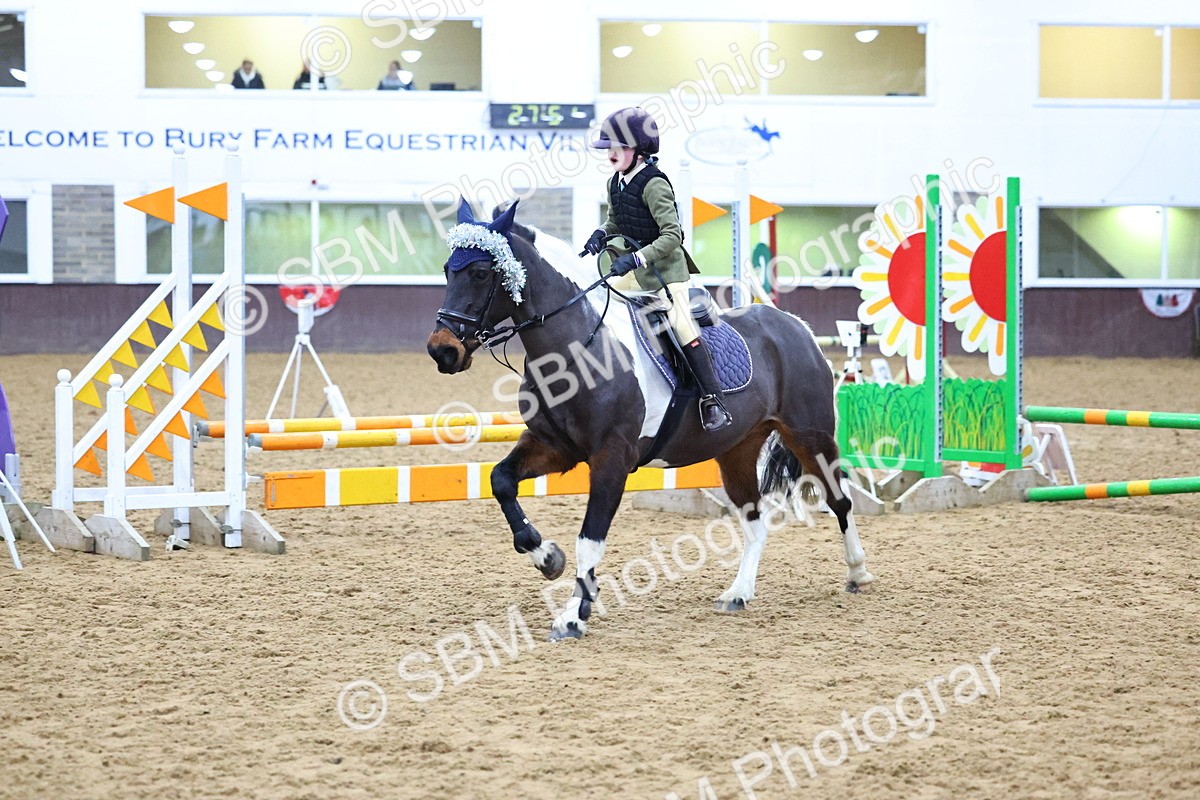 SBM_001468 - Class 3 - Christmas Tree Stakes - 60cm