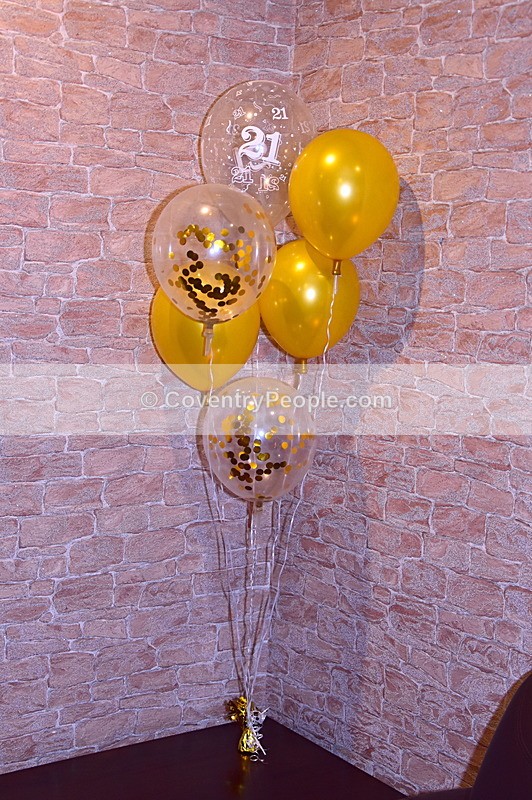 SHN-333 - Shannon's 21st