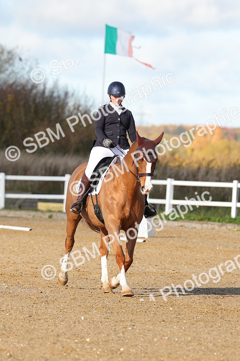 SBM_000551 - Novice 4