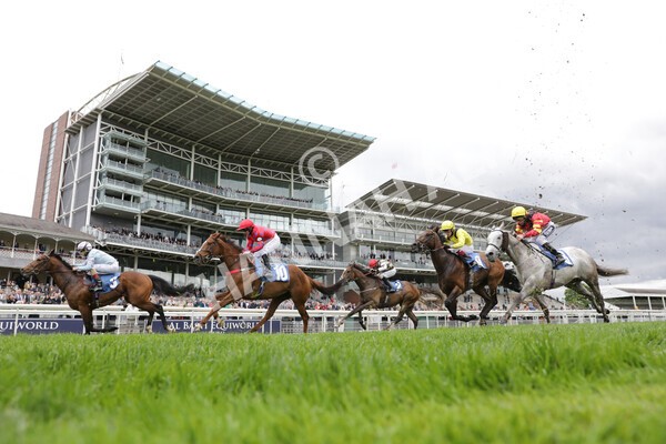 yr22052021r1-33 - Race 1 2.05pm William Hill Pick Your Places Stakes