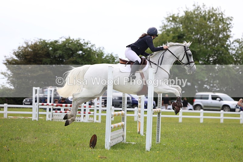 3E7A1822 - Class 13: Senior British Novice/90cm open