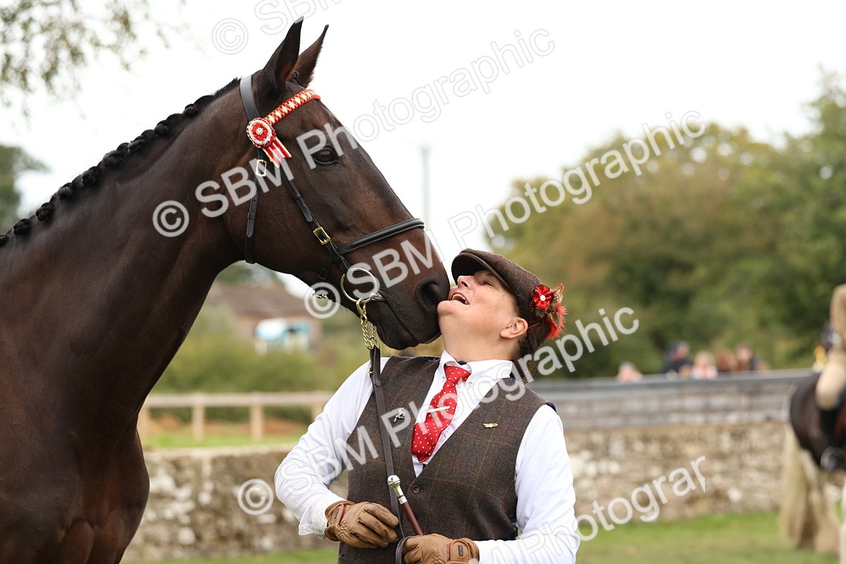 SBM_59991 - S36 - Rehabiliated Rescue Horse & Pony In Hand & Ridden