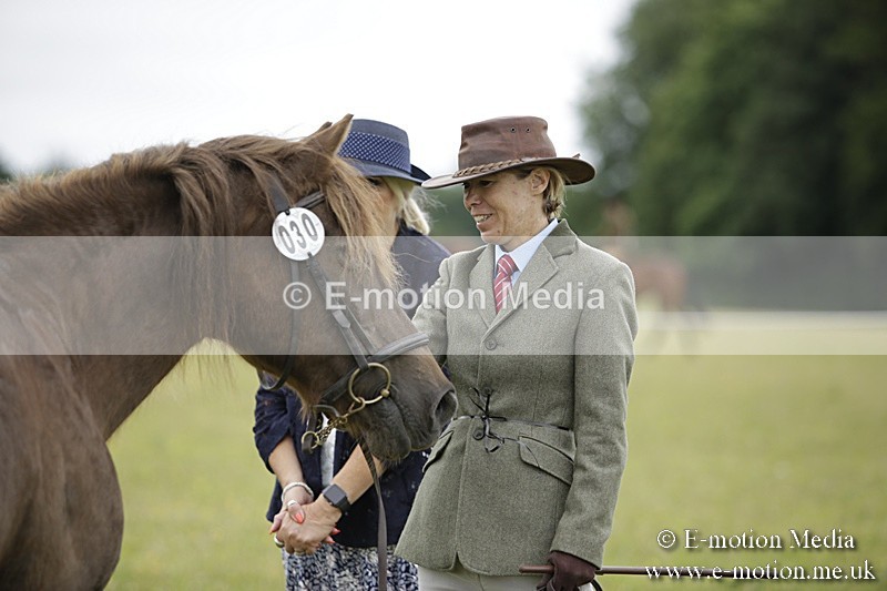 BVR160717-709 - Ring 2 BVRC Show 16/07/17