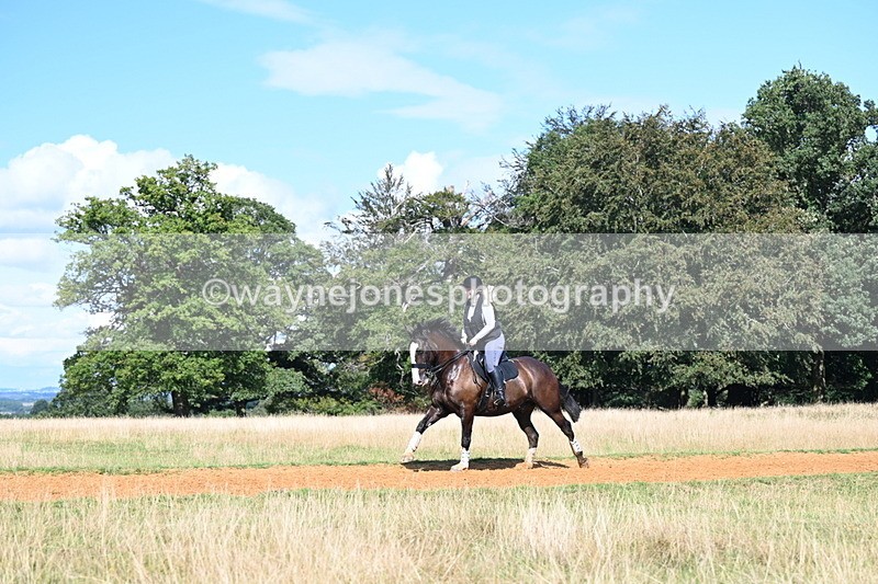 DSC_0166 - Time at Statue 15:58 to 16:05
