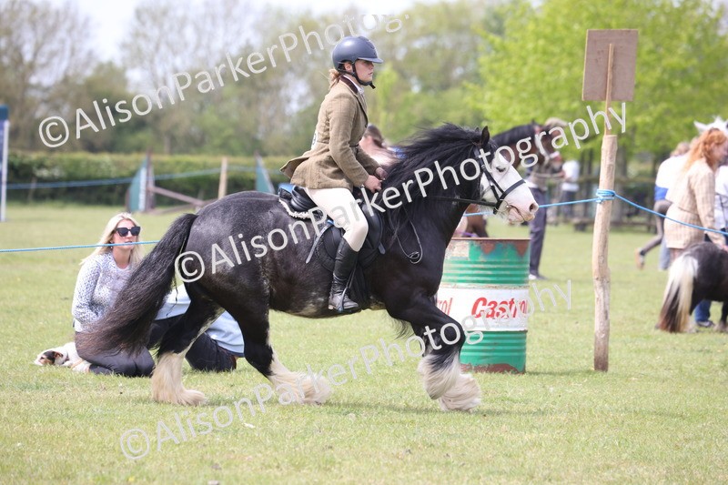 20260426-2969 - Class 33 - Best Pony 14.2hh and Under