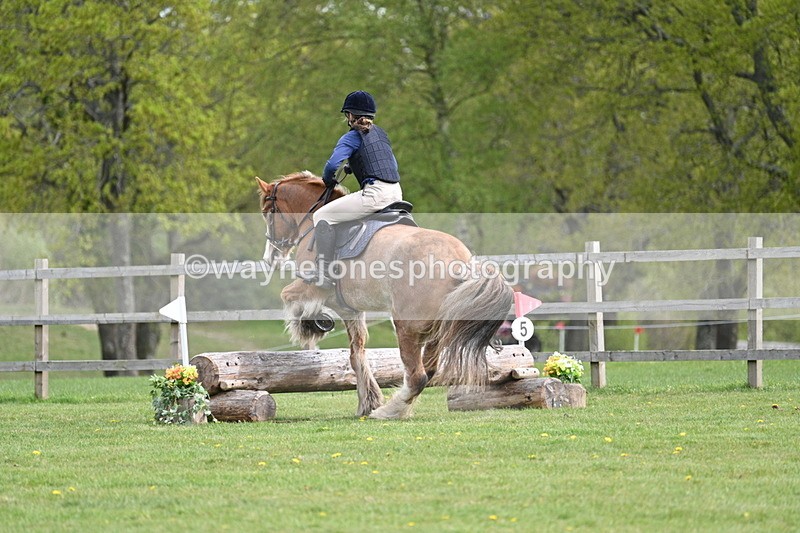 WJ7_6385 - 60cm Time 11:12 to 11:36