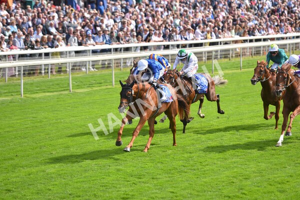 yr18082021r3-74 - Race 3 3.00pm Sky Bet Great Voltigeur Stakes