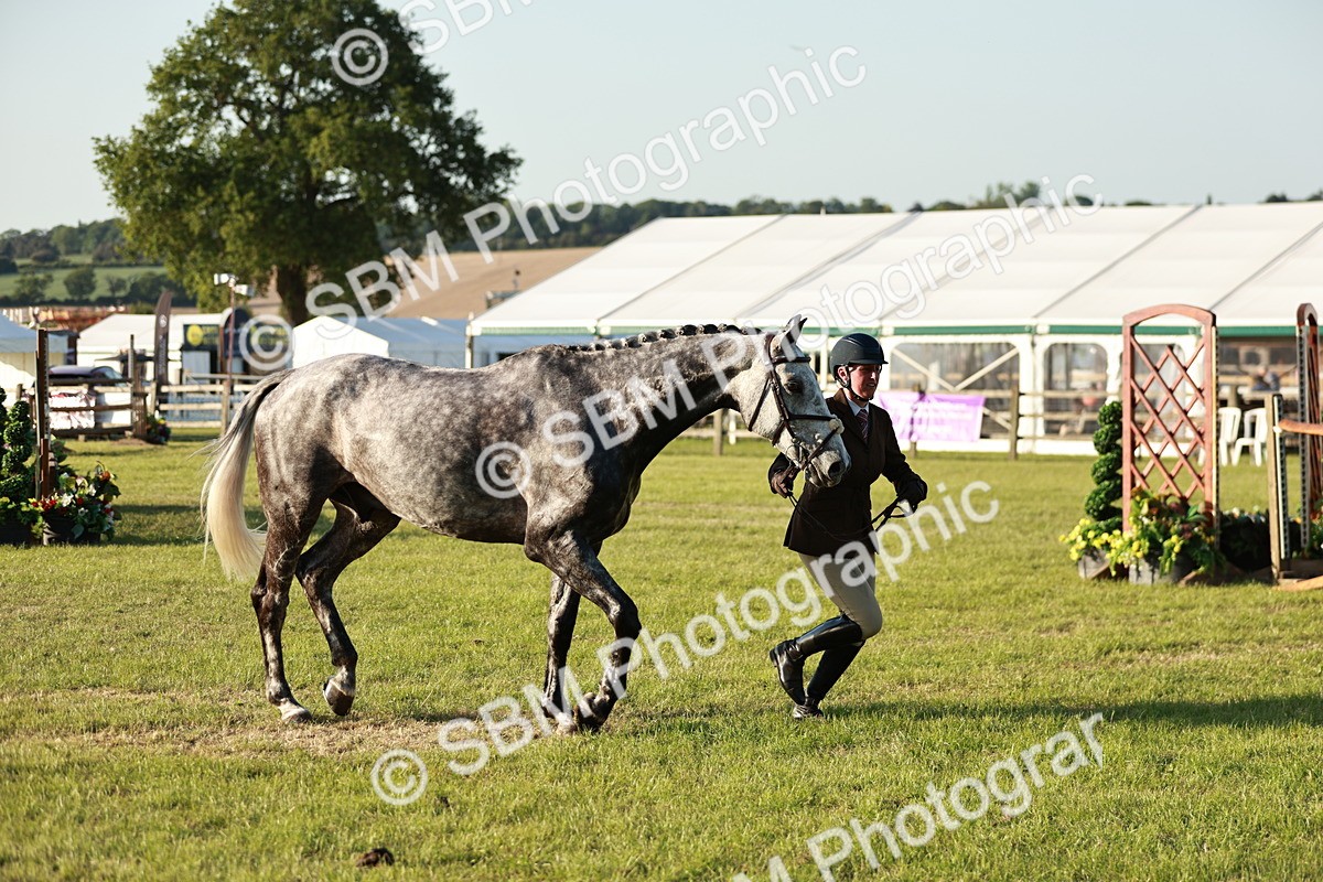SBM_20516 - Class 117-119 - Sport Horse Working Hunter