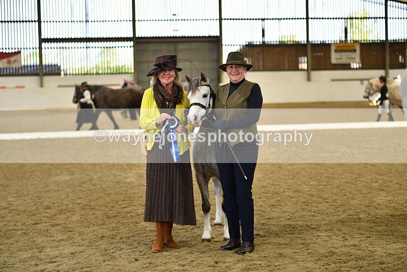 WJ5_4110 - Class 2 Best Condition In hand