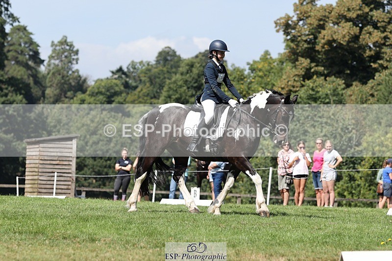 250823A-120926-29411 - Arena D