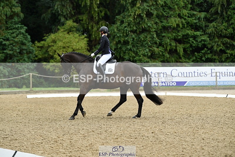 250718A-103708-00202 - 061-Louise.Christie-High.Hoes.Dandelion