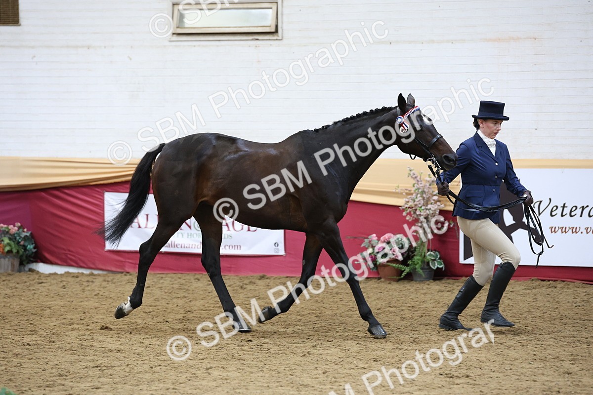 SBM_23638 - Class 904 - Supreme Final - Ridden Diamond