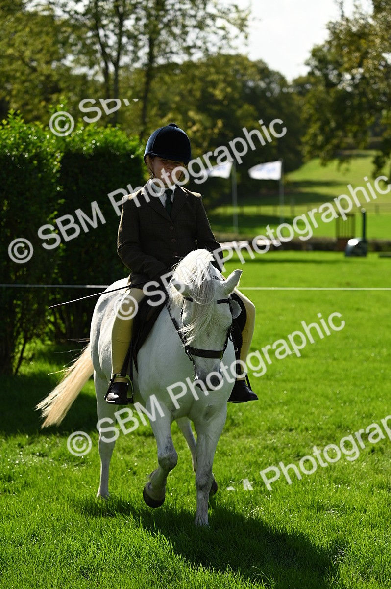SBM_02851 - S3 - TSR Ridden Pony Showing
