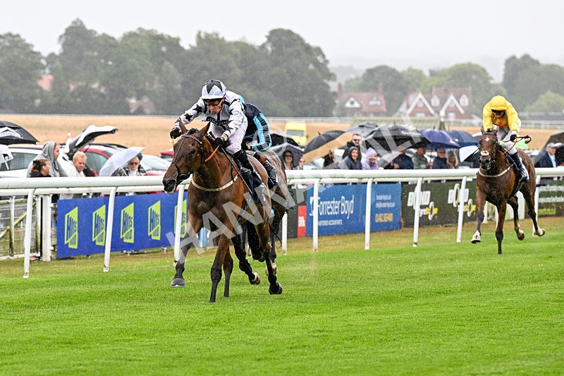 150725-Race 1-Dunkeld Dreamer-0066 - Race 1